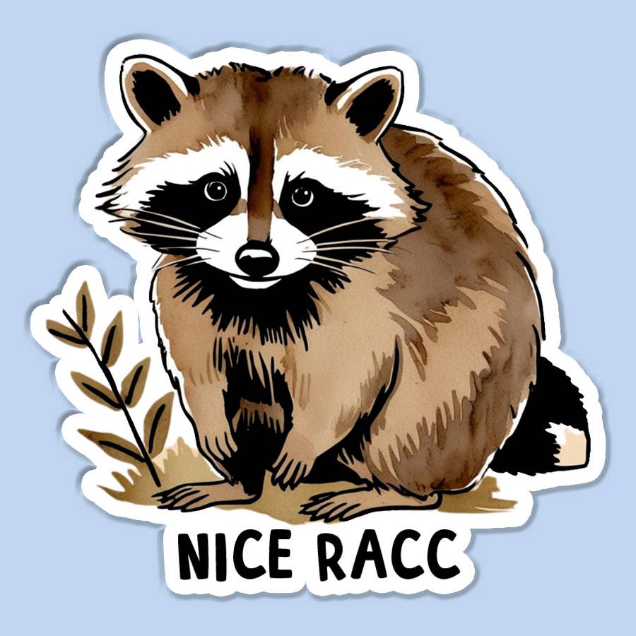 Nice Racc Sticker Decal, Raccoon Sticker, Funny Raccoon