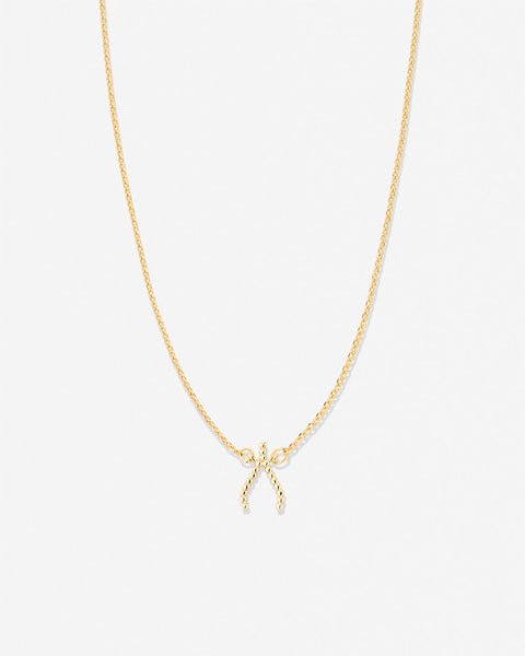 Just For Luck Wishbone Necklace