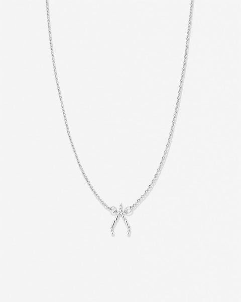 Just For Luck Wishbone Necklace